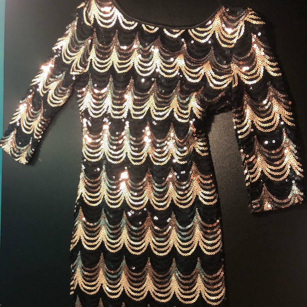 Beautiful shiny dress